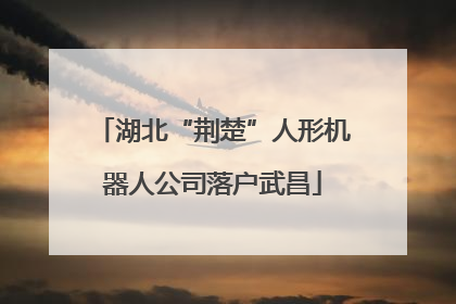 湖北“荆楚”人形机器人公司落户武昌